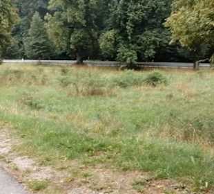 Rund um die Eninger Weide