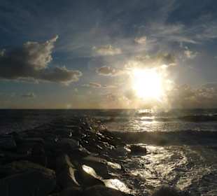 Марина де Пиза