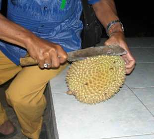 Stinkfrucht (Durian)