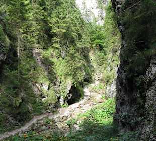 Janošikove diery