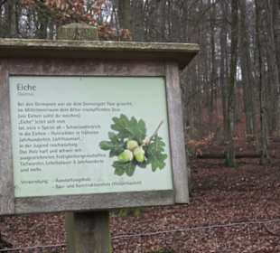 Wildpark Eichert