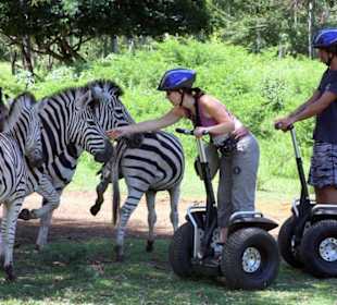Casela Park Mauritius - Segway