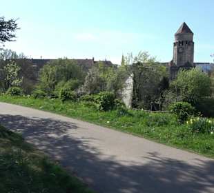 Rosengarten Villa Berg