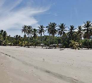 Tropical Beach Safari - Puerto Plata - DomRep Lifestyle - Ex