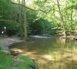 Auf dem Wanderweg zur Burg Eltz