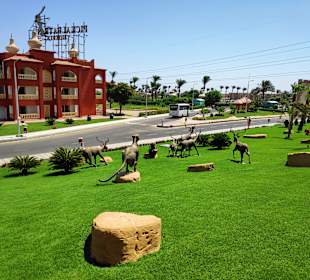 Stadtrundgang Hurghada