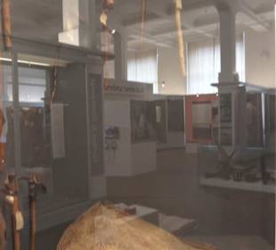 Museum für Völkerkunde