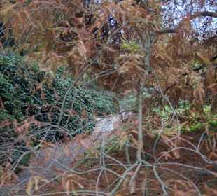 Parkanlage Planten un Blomen