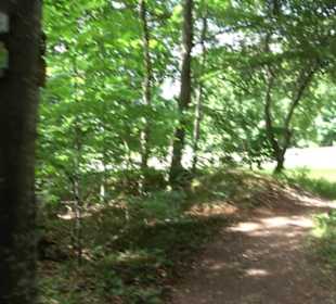 Hochgeträumt Premiumwanderung