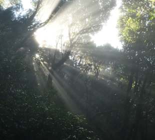 Wanderung von Cruz Del Carmen nach Las Carboneras