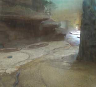 Südamerika Bereich - Löwenhaus