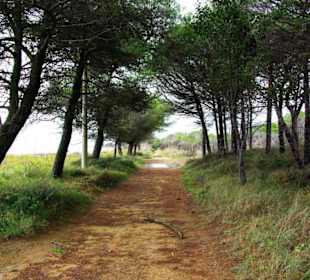 Ende September 2010 Inspirationen