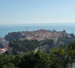 Blick auf den Altstadtfelsen