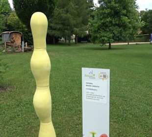 Blühendes Neresheim 2021