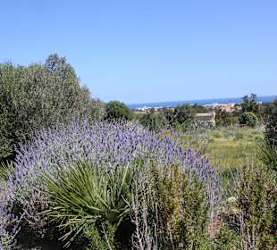 Radwanderweg Vía Verde zwischen Manacor und Arta