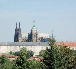 Aussicht vom Turm auf die Burg