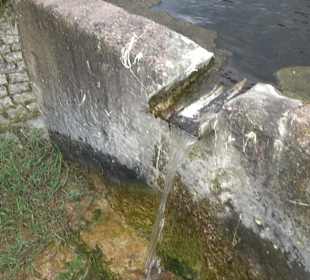 Rathaus Grünmettstetten