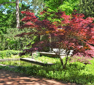 Eindrücke vom Spaziergang durch den Stadtpark