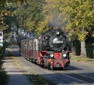Dampfeisenbahn Molli