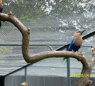 Besuch im Berliner Zoo