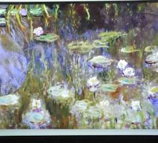 Ein Seerosenbild von Monet