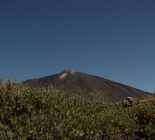 Teide