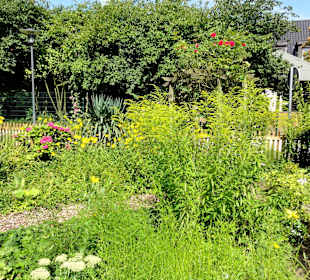 Spaziergang durch den Bauerngarten