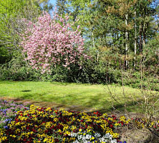 Impressionen vom Rundgang durch den Kurpark