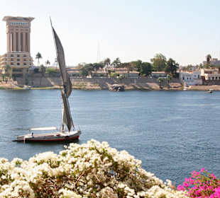 Widok z wyspy KItchenera