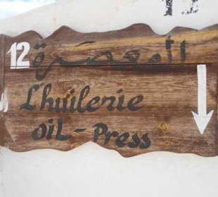 Inselrundfahrt - Museum von Guellala