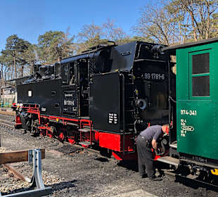 Der rasende Roland 