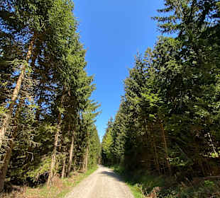 Wandern Hohen Bogen Neukirchen