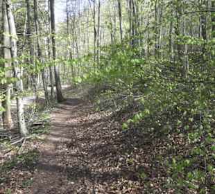 Wanderweg Hochgehkämpft