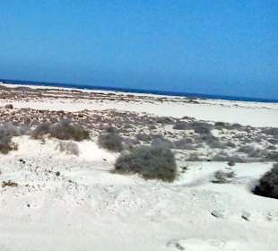 Last Minute Travel Excursion in Corralejo