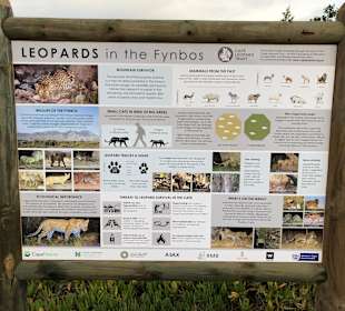 Safari Garden Route Game Lodge