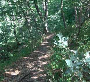 Tour entlang der Traifelbergfelsen