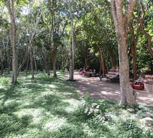 Spaziergang auf dem Ruinengelände