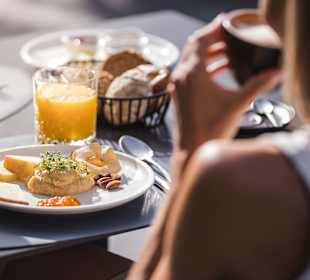 Gastro Hotel Terentnerhof