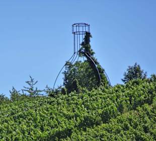 Der Bocksbeutel im Weinberg
