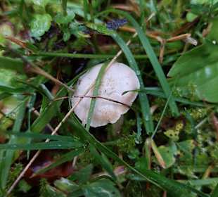 Wandern Friedrichroda