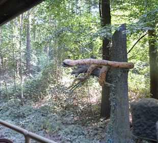 Mit dem Jeep unterwegs