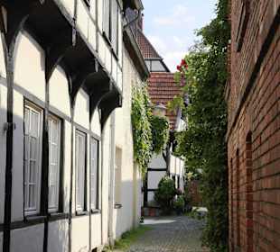 Warendorfer Petersieliengasse