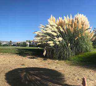 Strand Granada