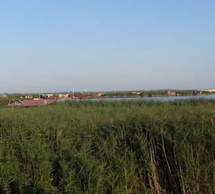 Tolle Ausblicke auf den Schilfgürtel des Sees