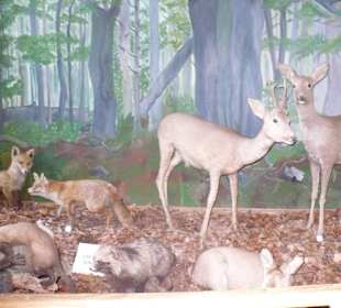 Muzeum na Świętym Krzyżu