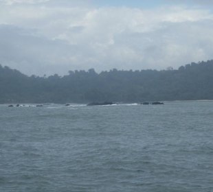 Manuel Antonio Bucht