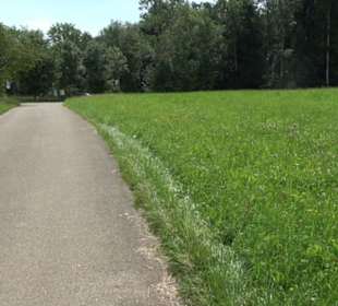 Premiumspazierweg Früchtetrauf-Leisawegle