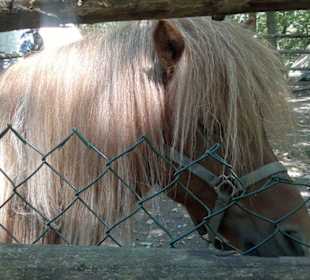 Zoo Brno