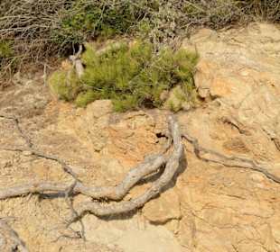 Direkte Nähe zum Strand