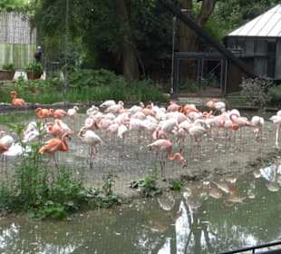Tierpark Hellabrunn - Eingang